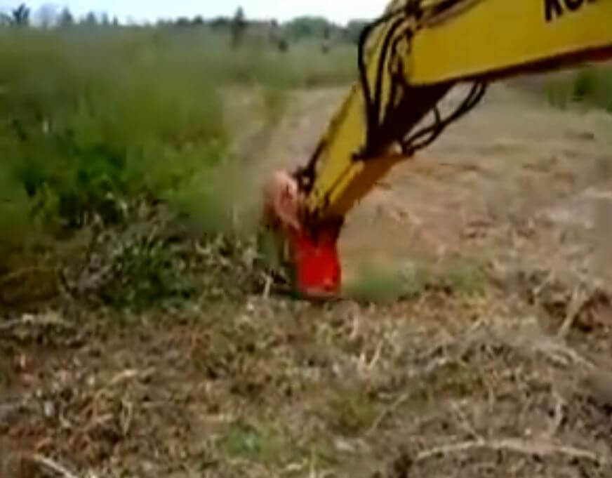 Torrent Mulcher