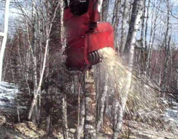 Torrent Mulcher